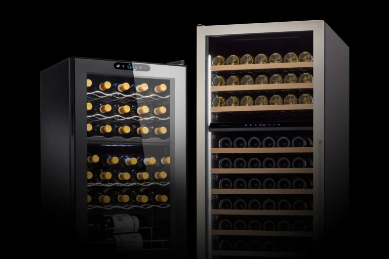 Dual-zone wine coolers with temperature control storing wine bottles for home and restaurant use in Tampa