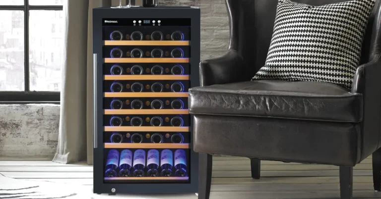 Freestanding wine cooler storing bottles in modern Tampa home